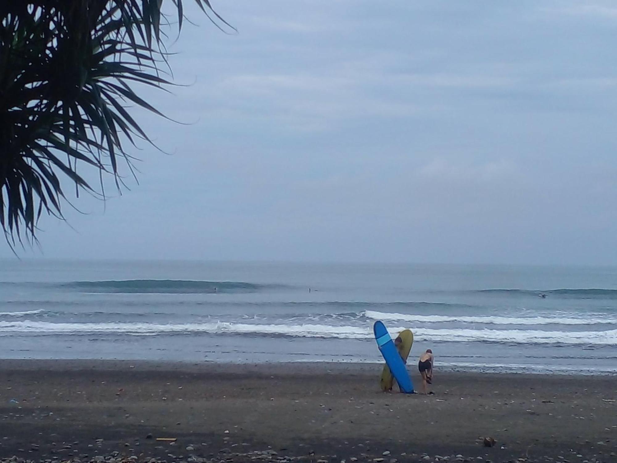 Medewi Good Vibes Stay&Surf Jembrana Екстериор снимка
